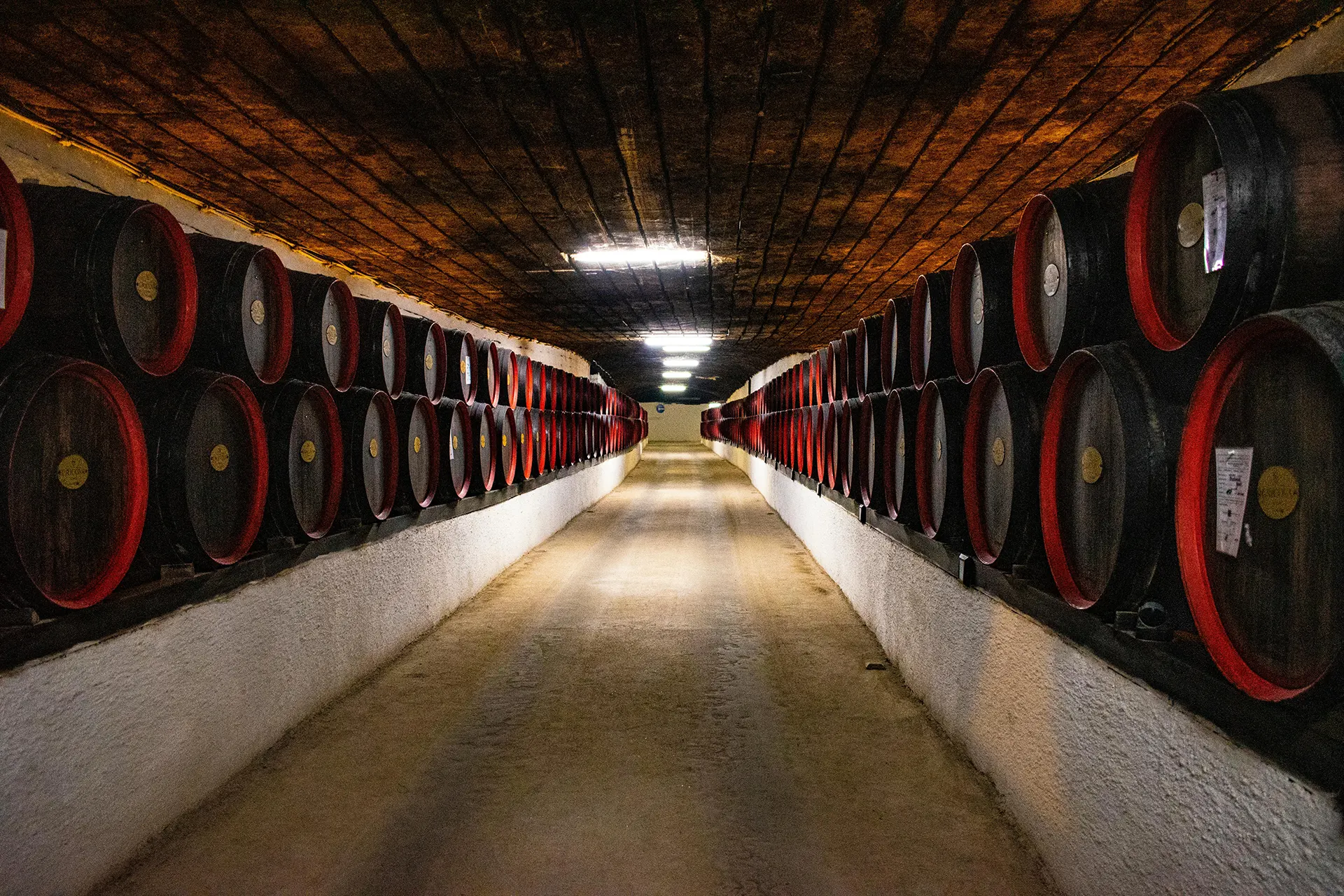 Club d'Œnologie Cherbourg (AOC)