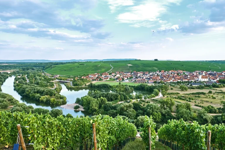 Club d'Œnologie Cherbourg (AOC)