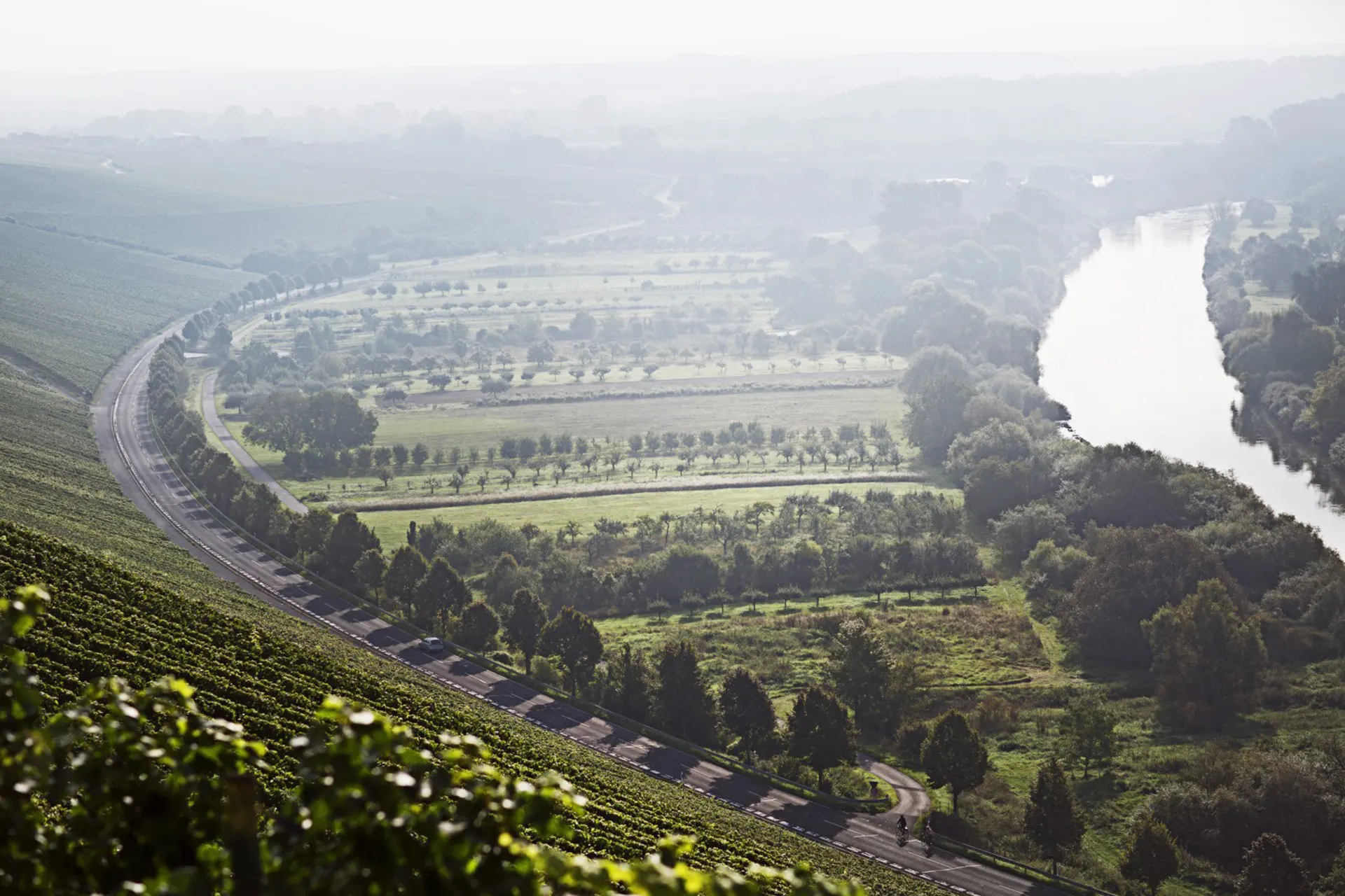 Club d'Œnologie Cherbourg (AOC)