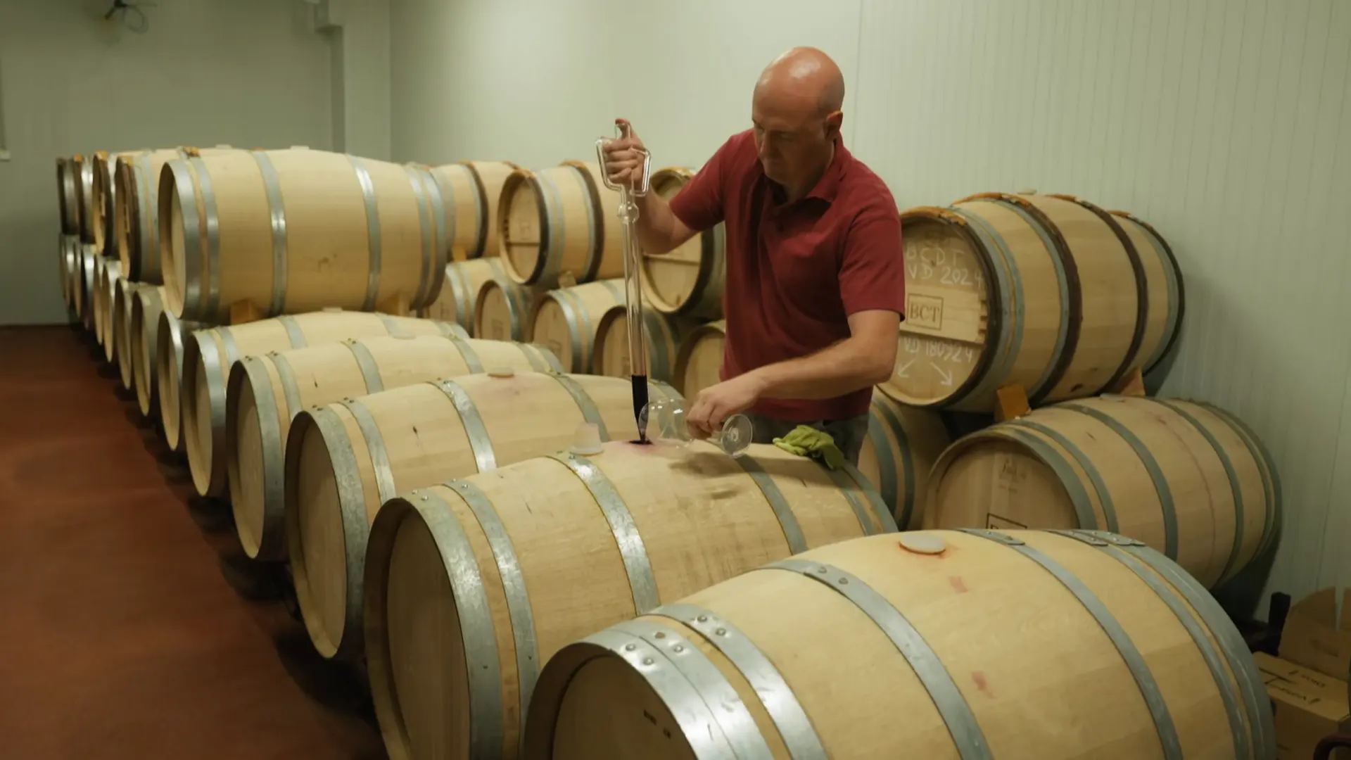 Vignoble Castille-et-León en Espagne