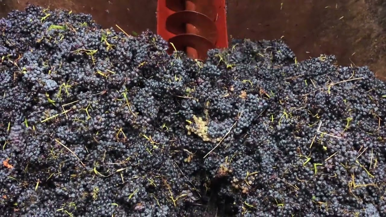 youtube placeholder image